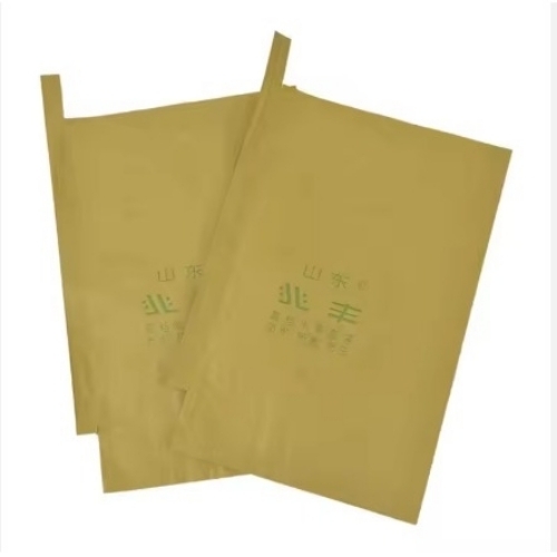 Mango Protection Bags