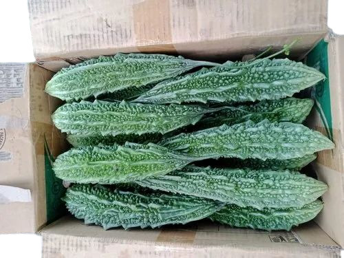 Bitter Gourd