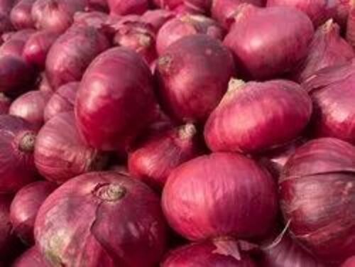 Fresh Nashik Red Onions