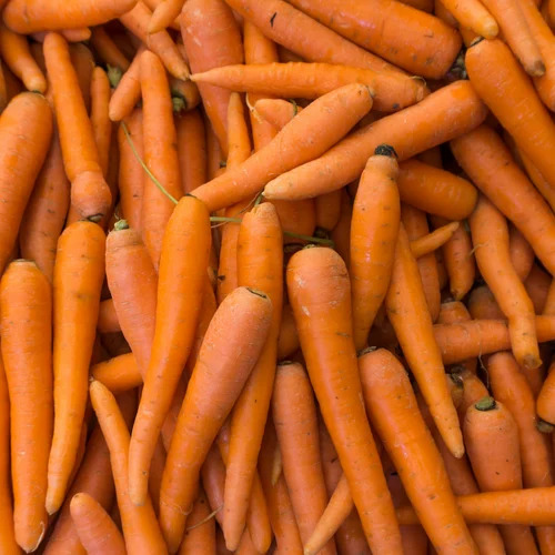 Fresh Organic Carrot
