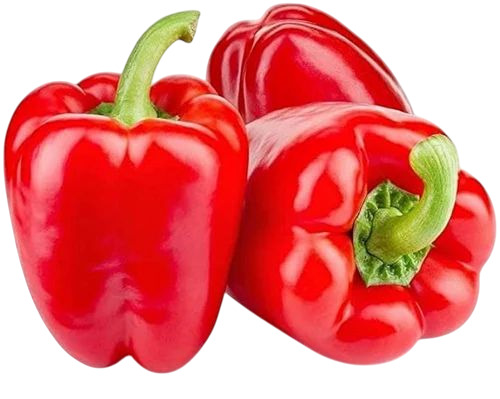 Fresh Organic Red Capsicum