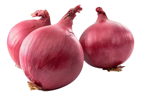 Fresh Red Onion