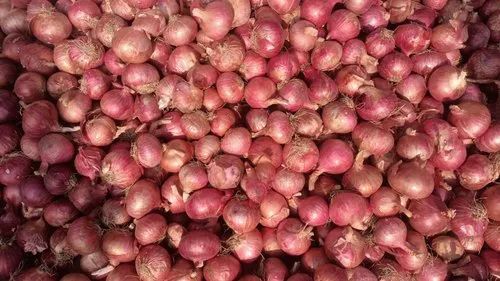 Fresh Red Onion