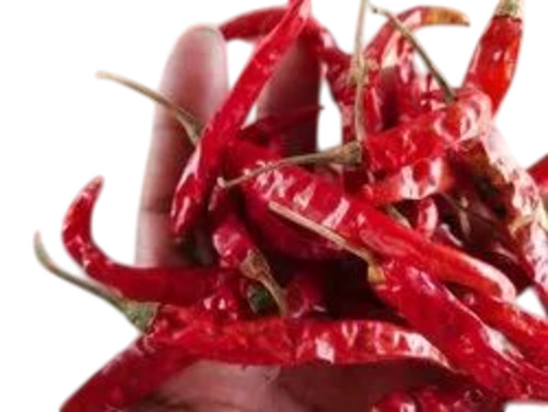 Guntur Dry Red Chilli