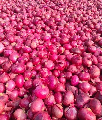 Nashik Red Onions