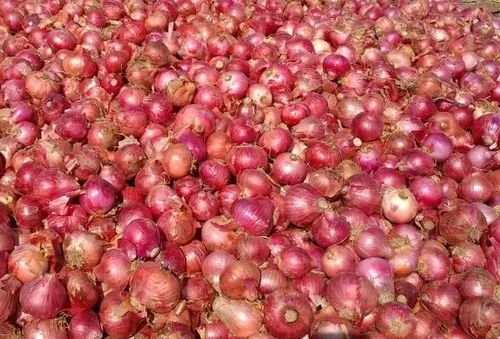 Natural Fresh Red Onion