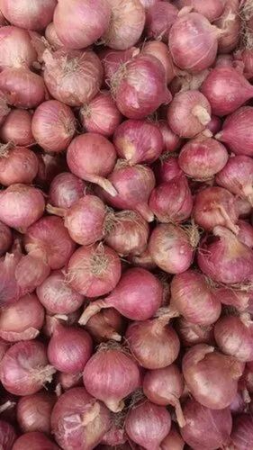 Natural Red Onion By Chandrakala Fresh Vegetables Private Limited