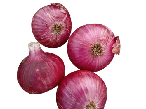 Pune Fresh Onion