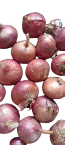 Round Fresh Onion