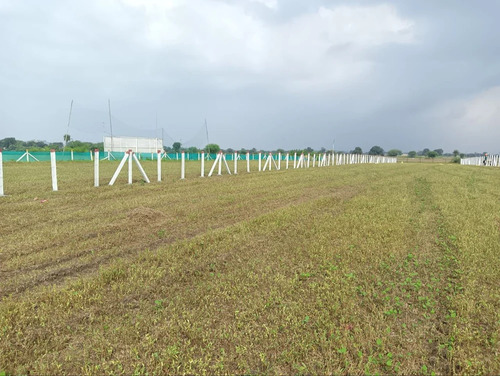 Fence Pole - Application: Boundary