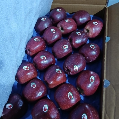 Fresh Shimla Apple