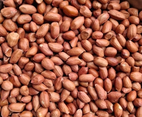 Groundnut Seeds