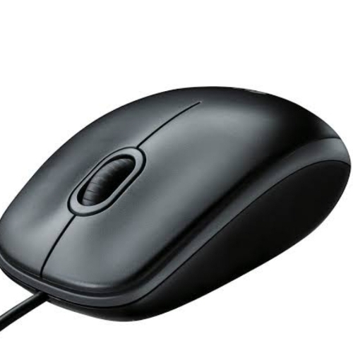 Mouse