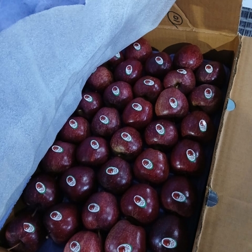Shimla Apple