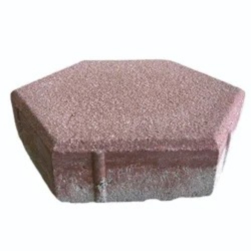 Shot Blasted Paver Block