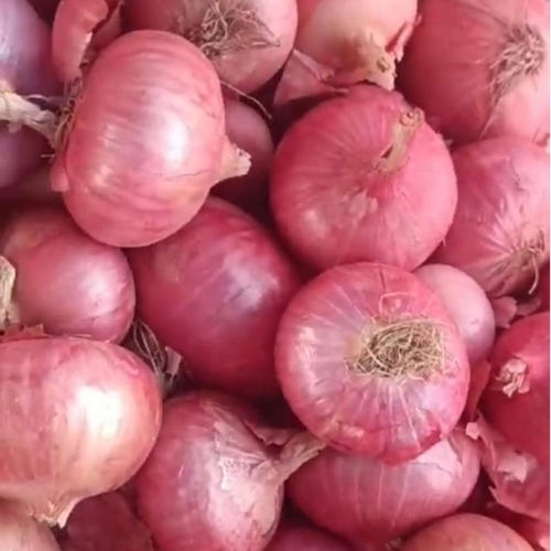 Natural Red Onion By Dreamteriors India Private Limited
