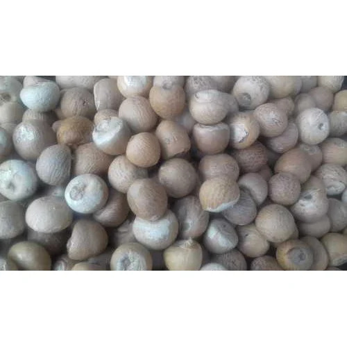 Betel Nuts - Color: Brown