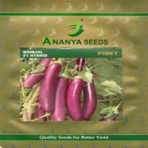 Hybrid Brinjal Seeds