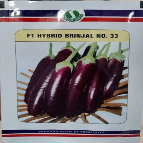 Mahy No.91 Brinjal Seeds