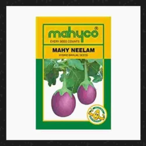 Neelam Brinjal Seeds