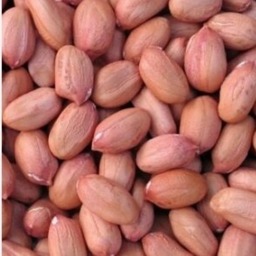 Raw Peanuts
