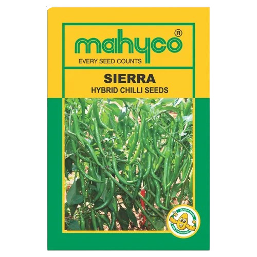 Sierra Chilli Seeds