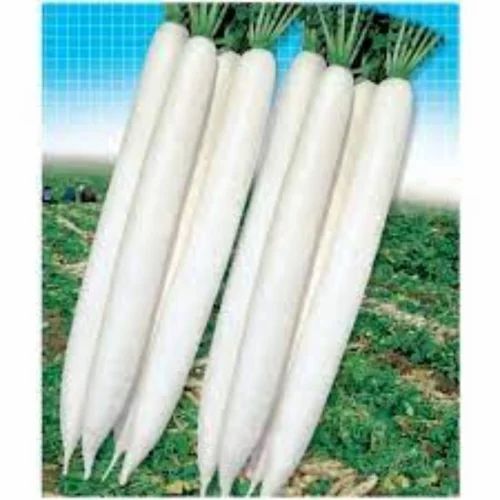 White Radish Seeds