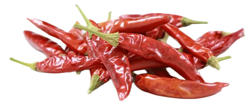 Teja Red Chilli
