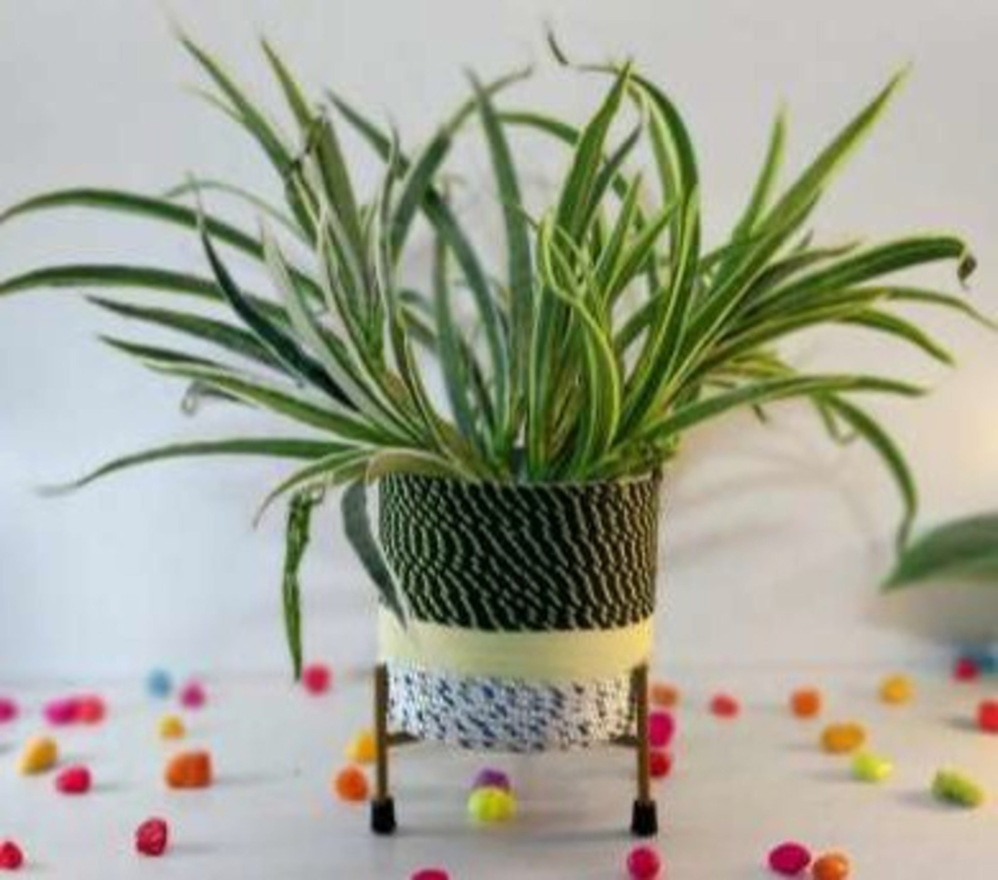 iron plant stand