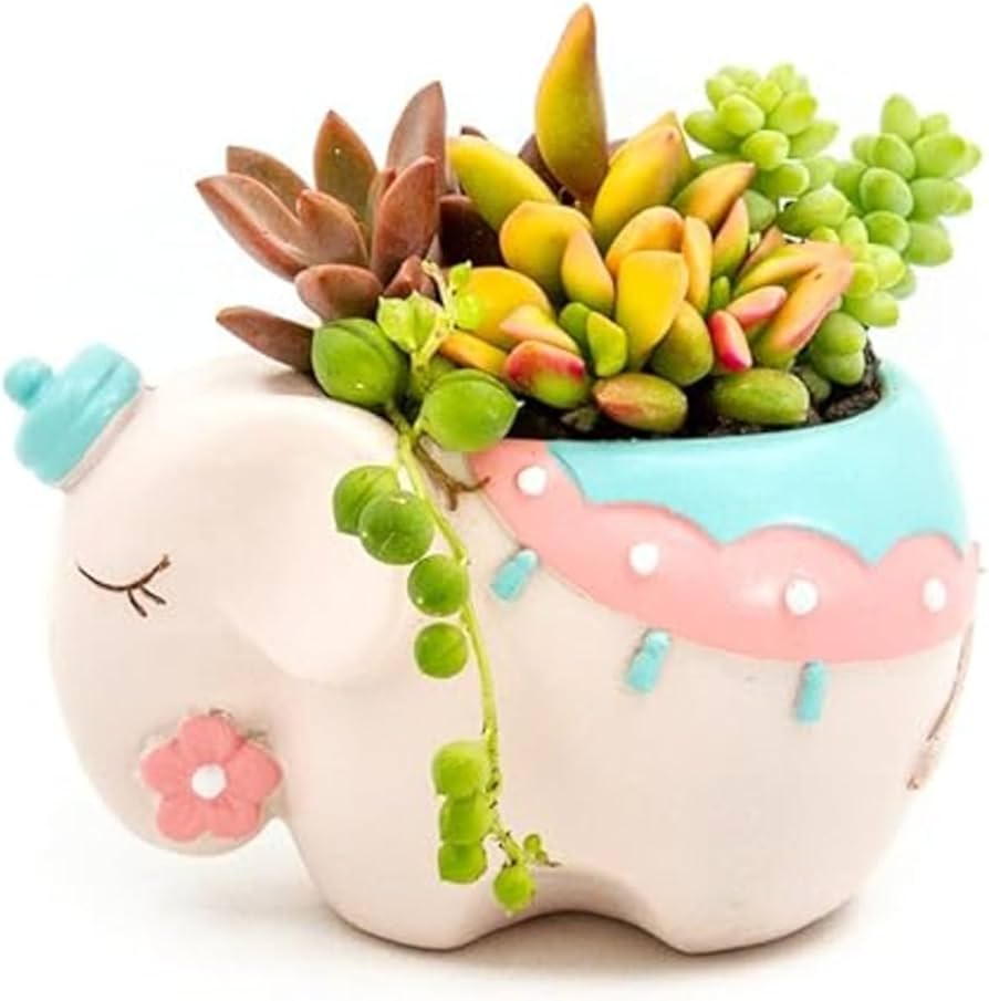 Flower Pots