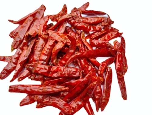 Guntur Stemless Dry Red Chilli
