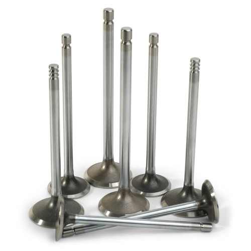 Marine Engine Valve