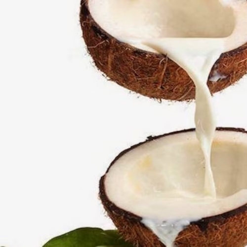 Coconut Milk 