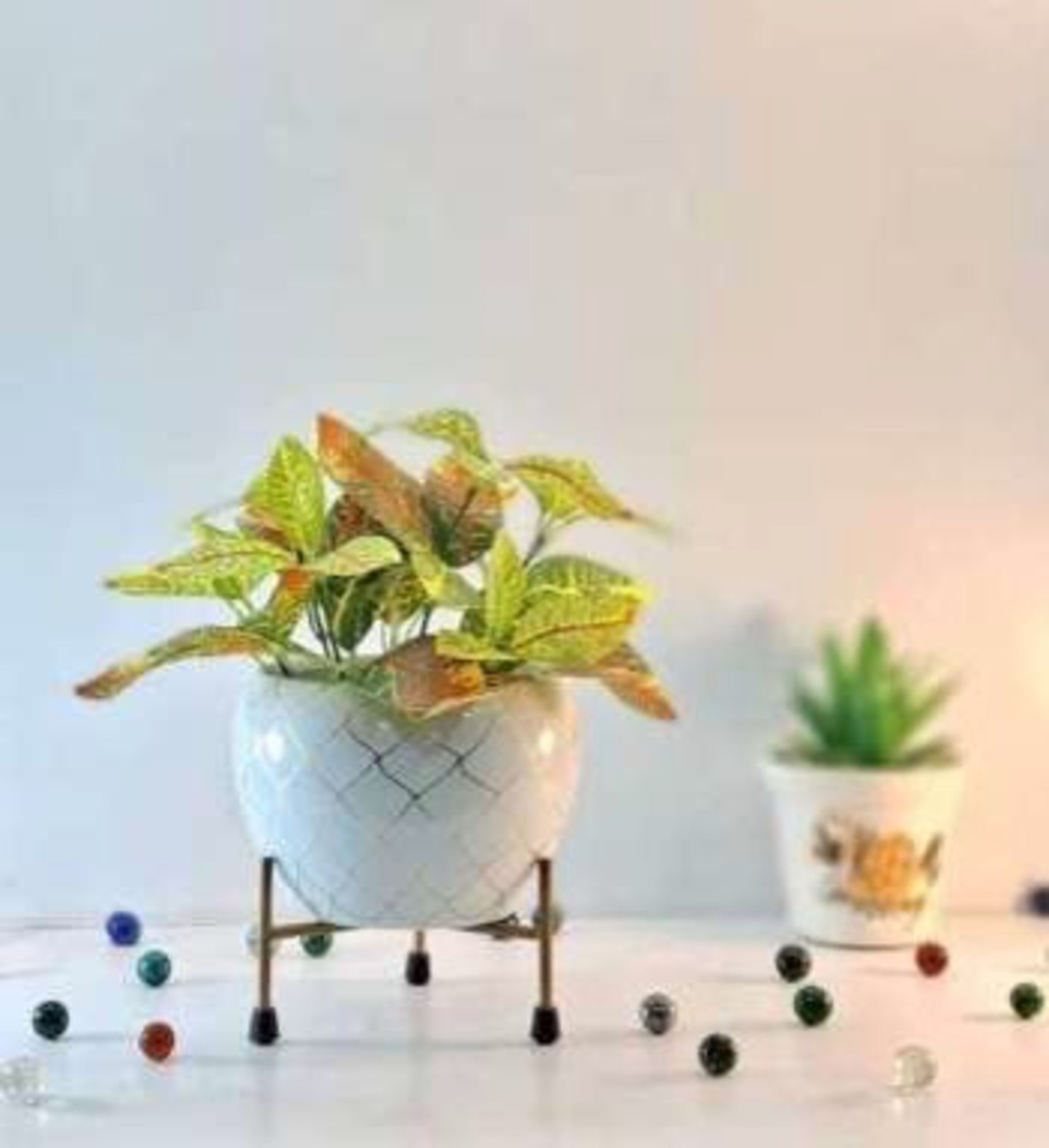 Decorative Pot With Stand