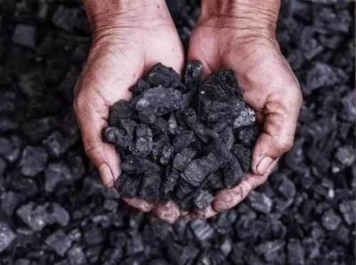 Nut Coke Coal