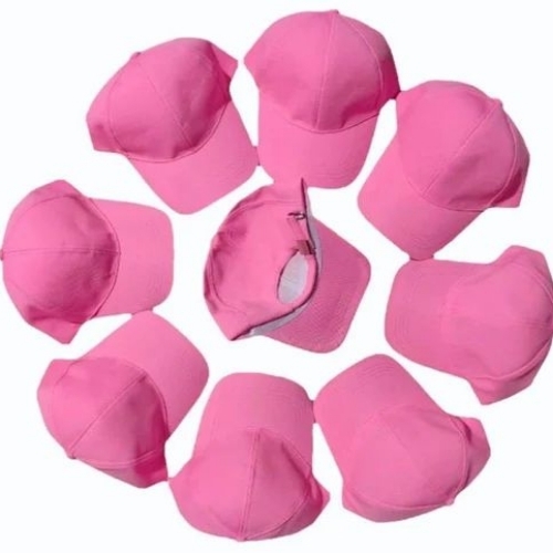 Flex Plain Pink Cap