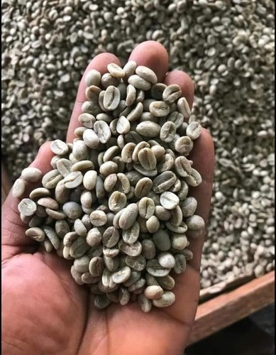 Washed Arabica Green Coffee Beans / Green Coffee Beans 