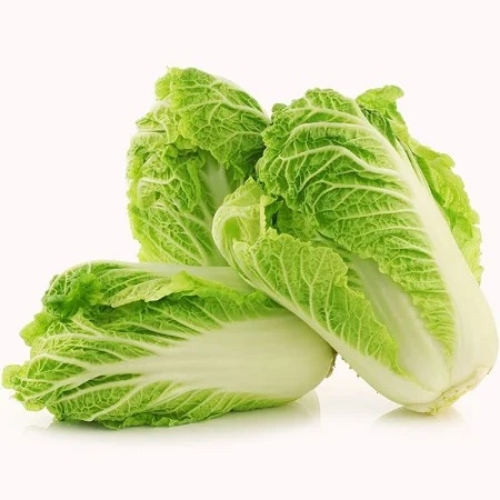 Chinese Cabbage