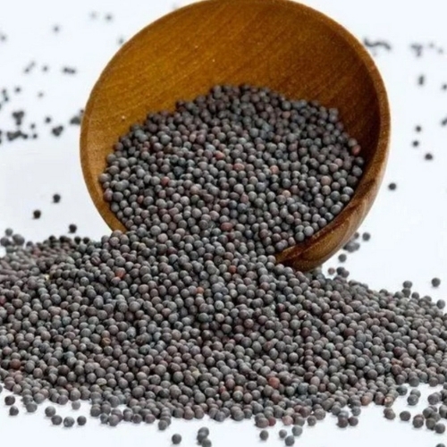 Strong Pungent Flavor Black Mustard Seeds
