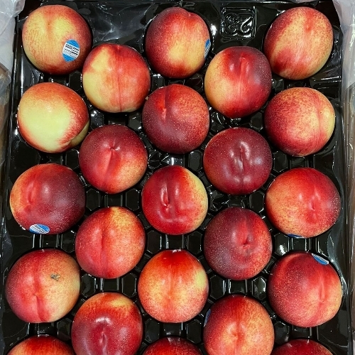 Nactarine Fruit