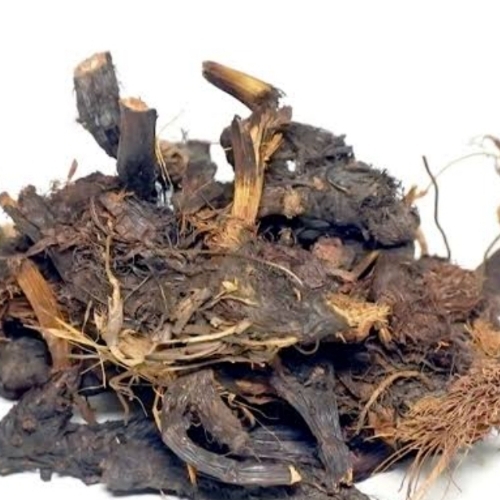 Nagarmotha Roots