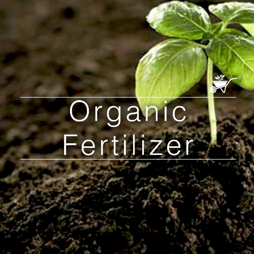 Organic Fertilizer