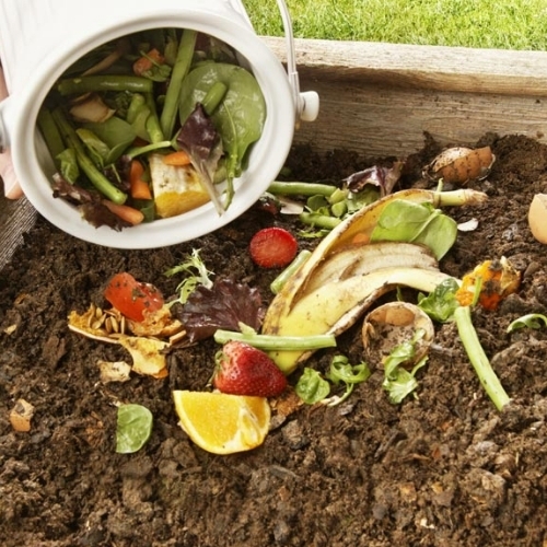 Organic manure