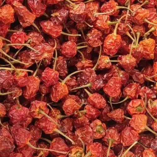 Dried Red Chili - Grade: A