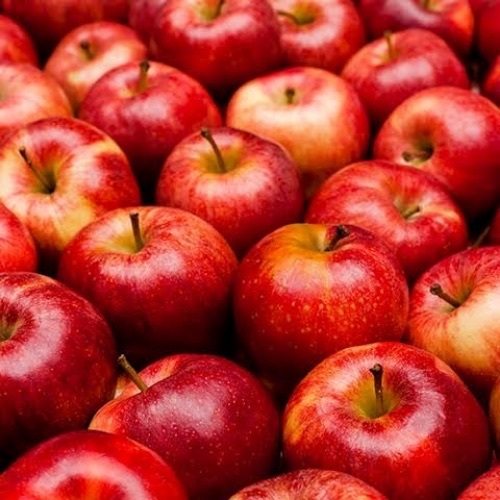 Fresh Apple