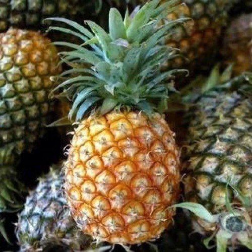 Pineapple Fruits