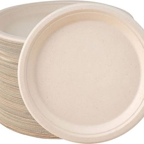 Compostable White Paper Plate
