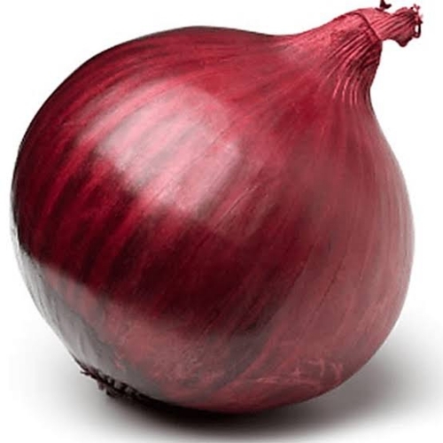 Fresh Raw Red Onion By Monishka Overseas