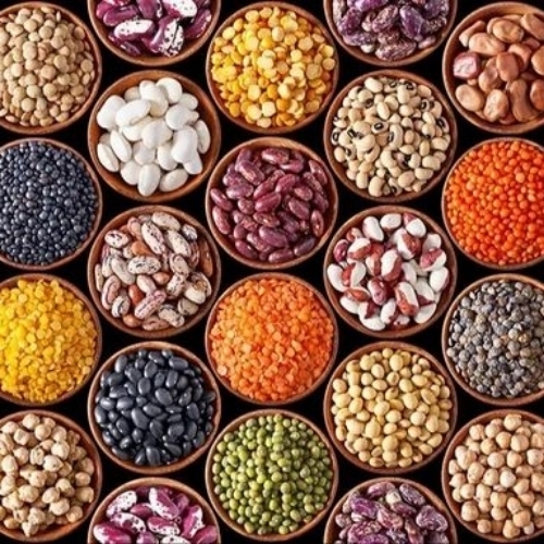 Pulses