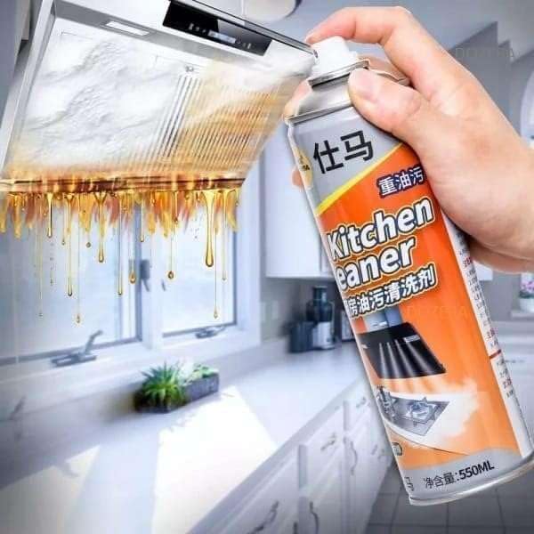 Stain Remover Foam Spray 500 Ml